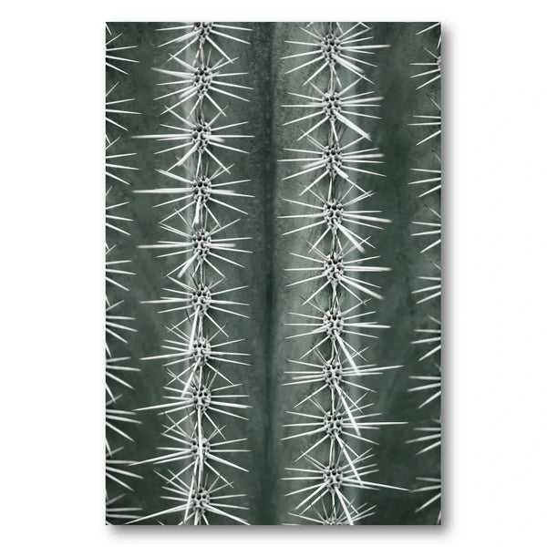 Sharp Cactus Pattern Photo Print
