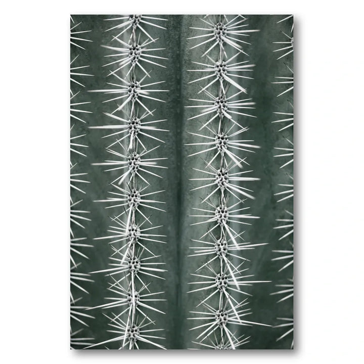 Sharp Cactus Pattern Photo Print