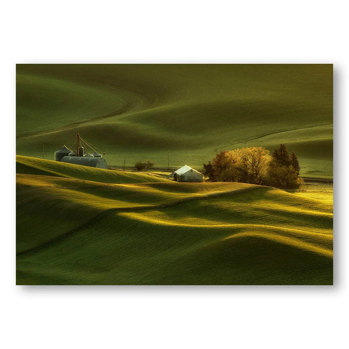 Sunlit Palouse Hills Photo Print