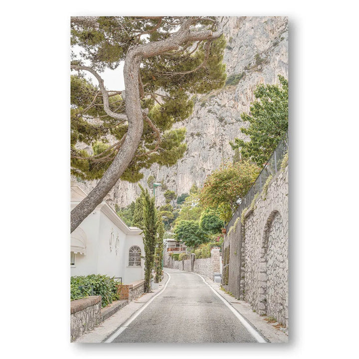 Streets of Capri Mediterranean Photo Print