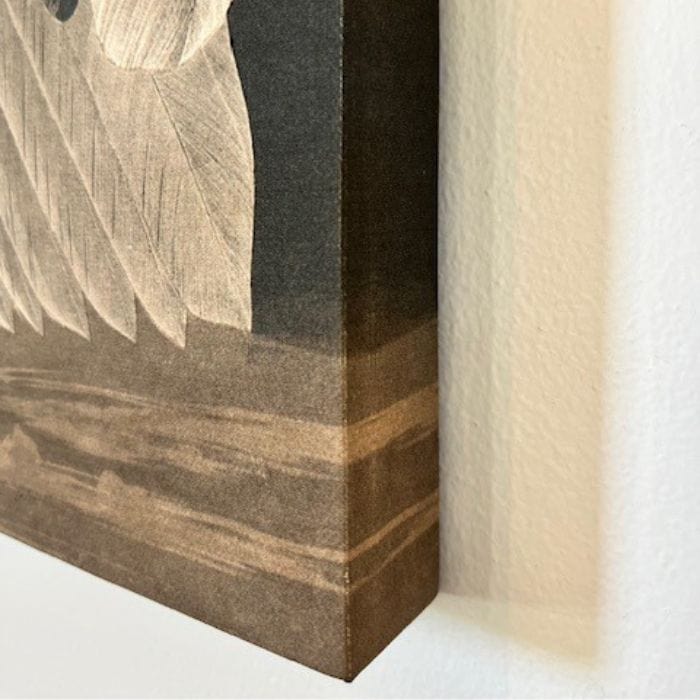 Plain Mounted Canvas