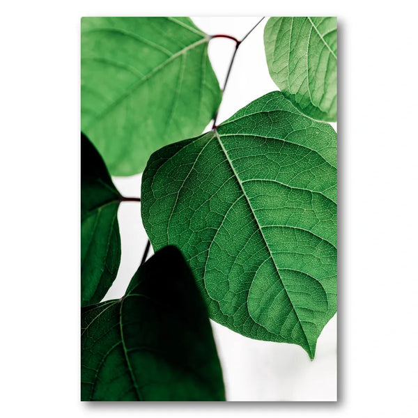 Summer Branches 2 Photo Print