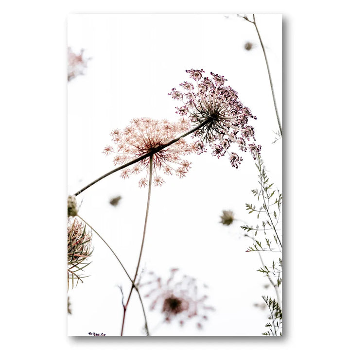 Summer Flowers Photo Print