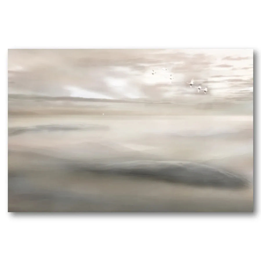 Swan Song To The Mist Art Print