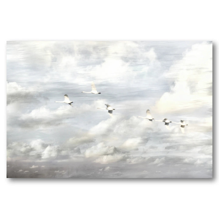 Swans in Flight Photo Print