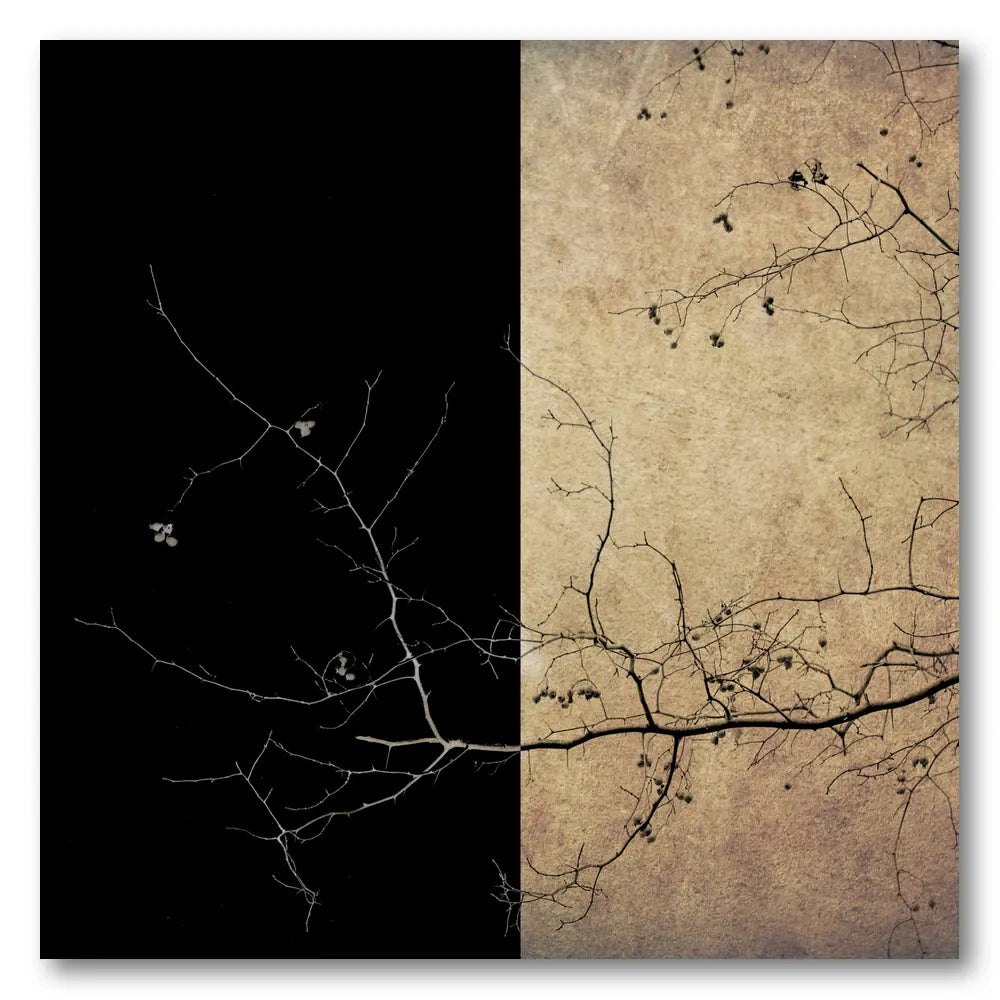 Textured Tree Contrast Art Print