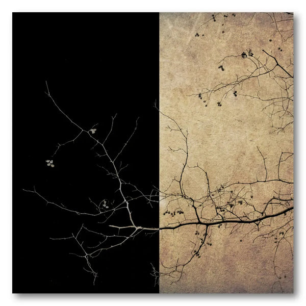 Textured Tree Contrast Art Print
