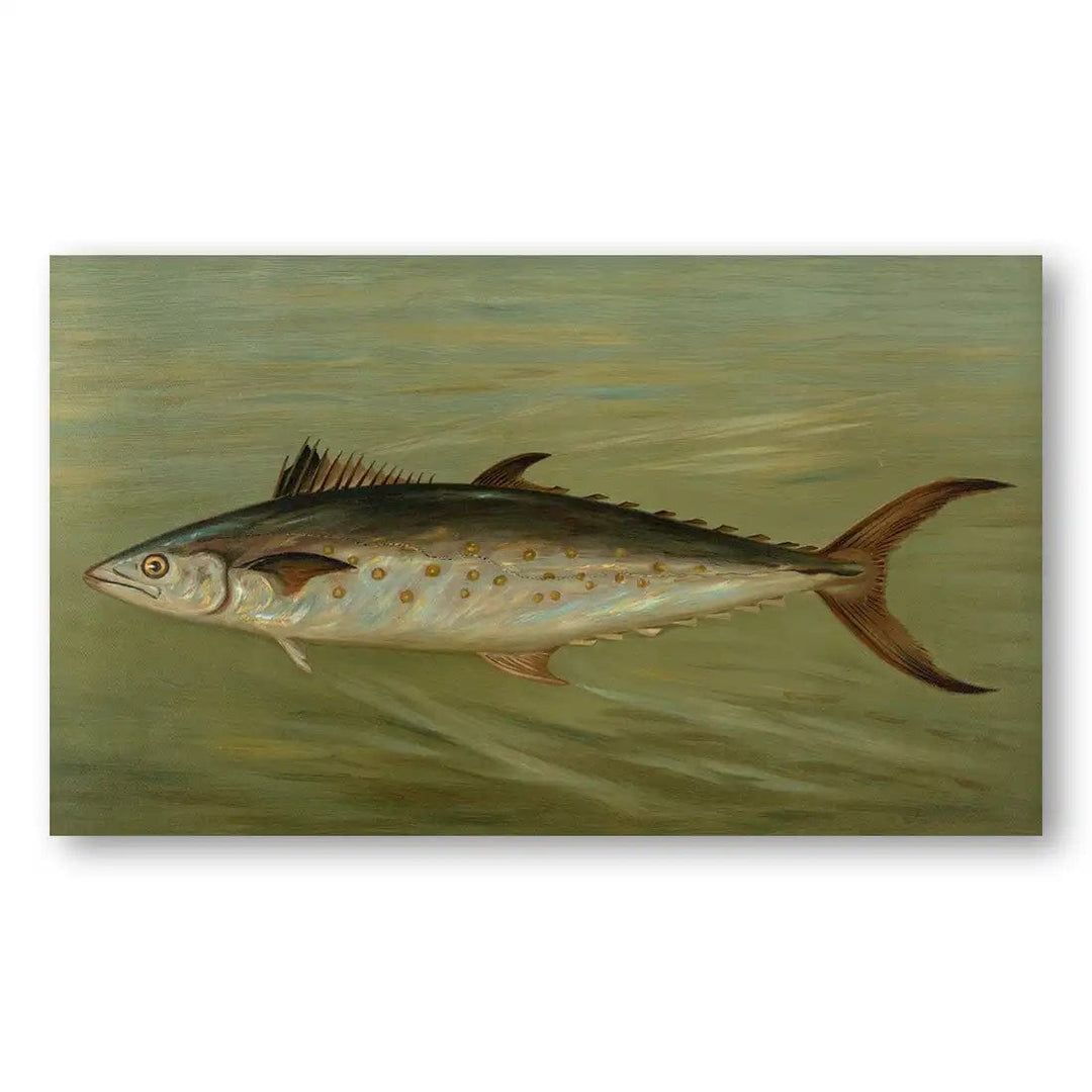 The Porgy Fish Art Print