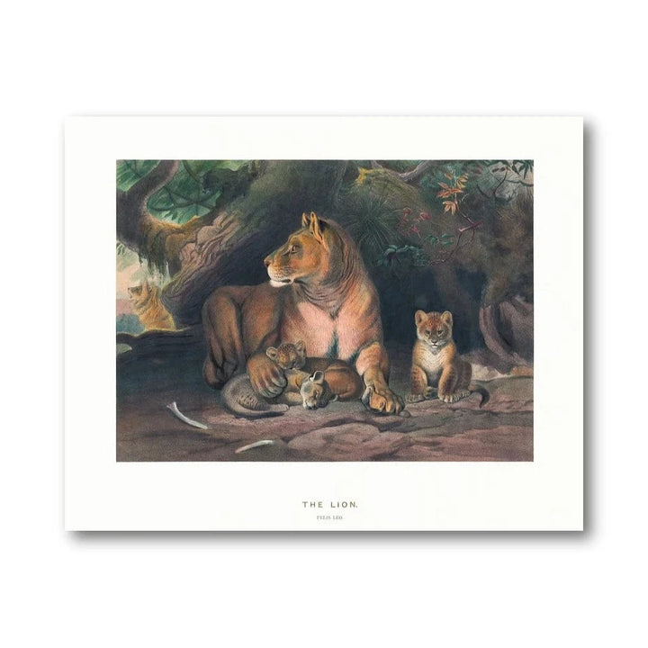Vintage Lion Family Art Print