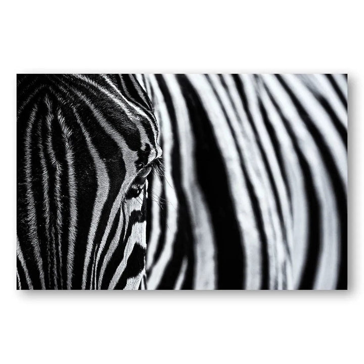 Zebra Stripes Essence Photo Print