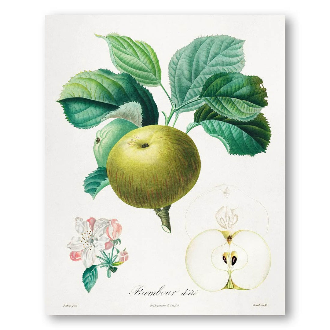 Rambour d'été by Henri-Louis Art Print
