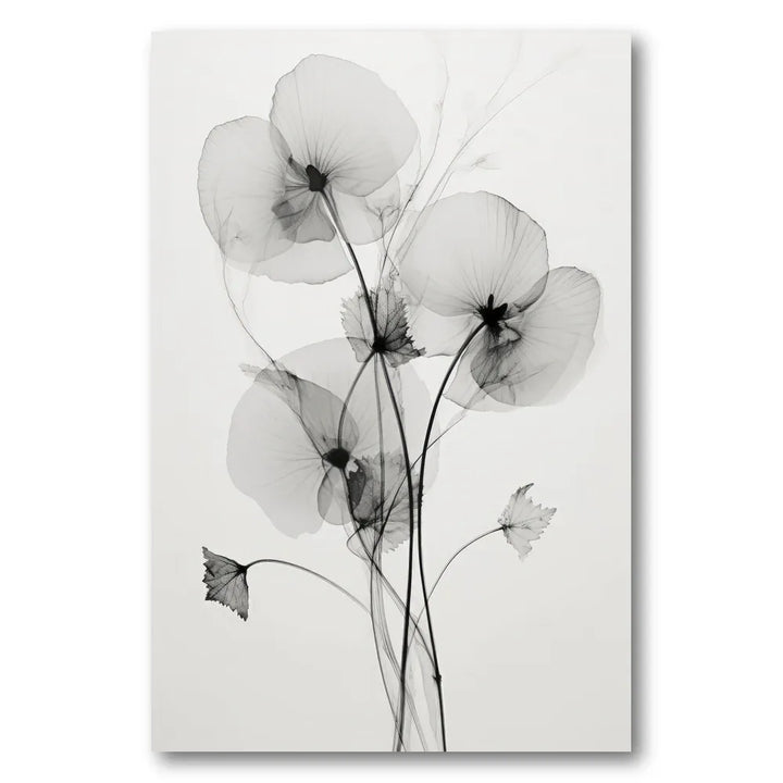 Transparent Botanic No1 Art Print