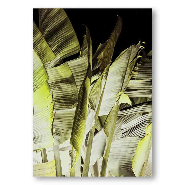 Glowing Palm Foliage Photo Print