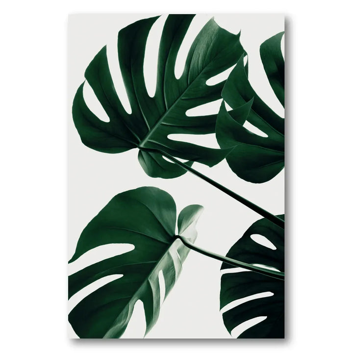 Tropical Green Monstera Photo Print