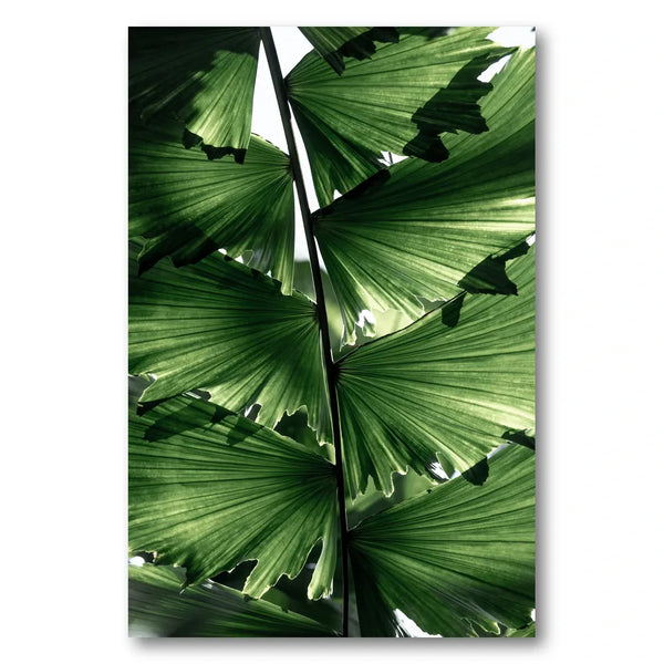 Tropical Green Palm Glow Photo Print