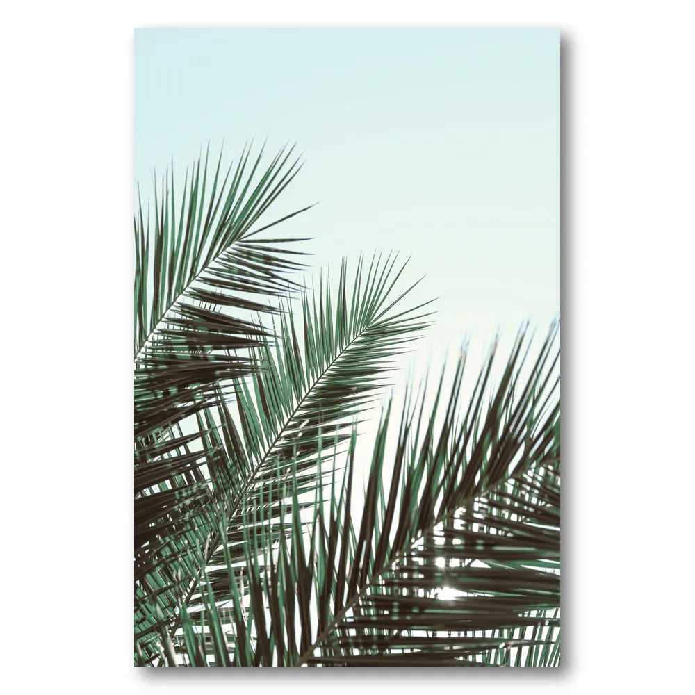 Tropical Palm Fronds Photo Print