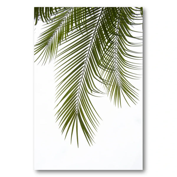 Tropical Palm Fronds Photo Print