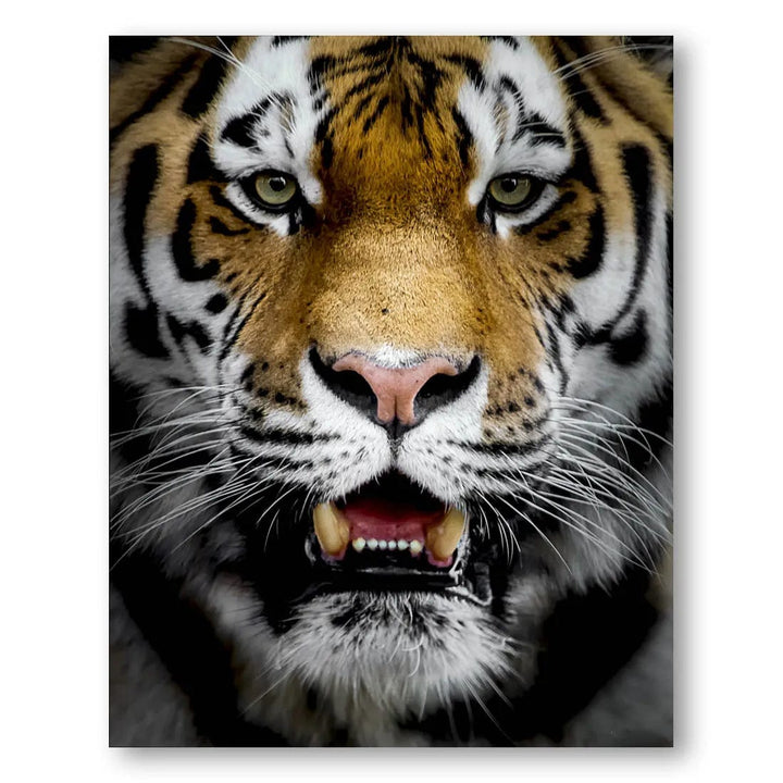 Majestic Predator Photo Print