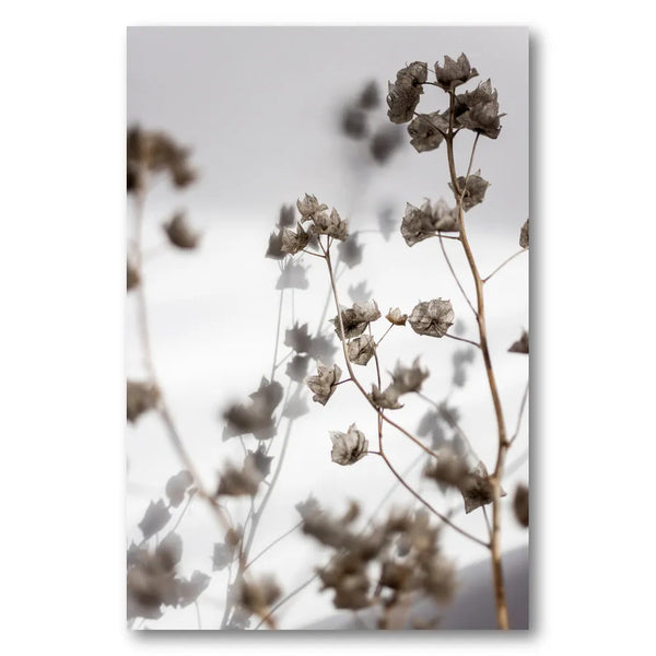 Soft Murmurs Photo Print