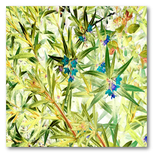 Vibrant Blue Blossoms Art Print