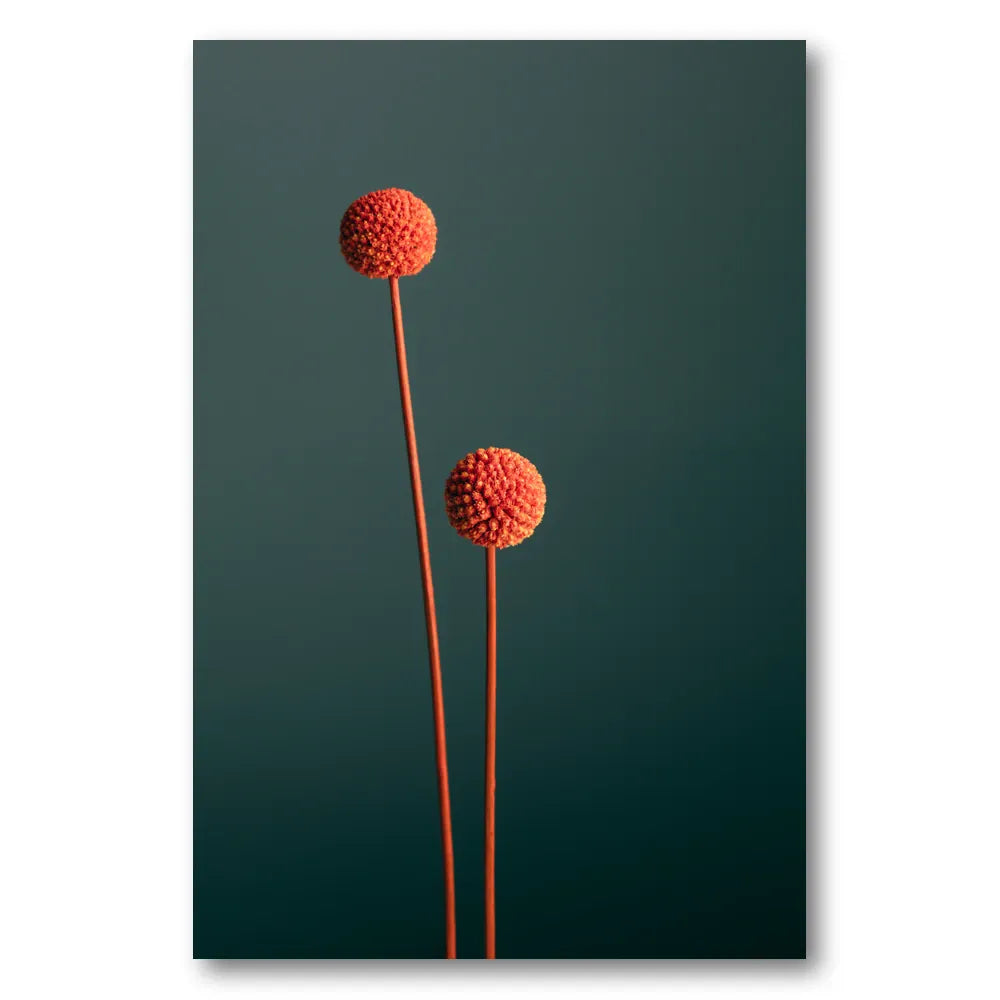Vibrant Botanical Spheres Photo Print