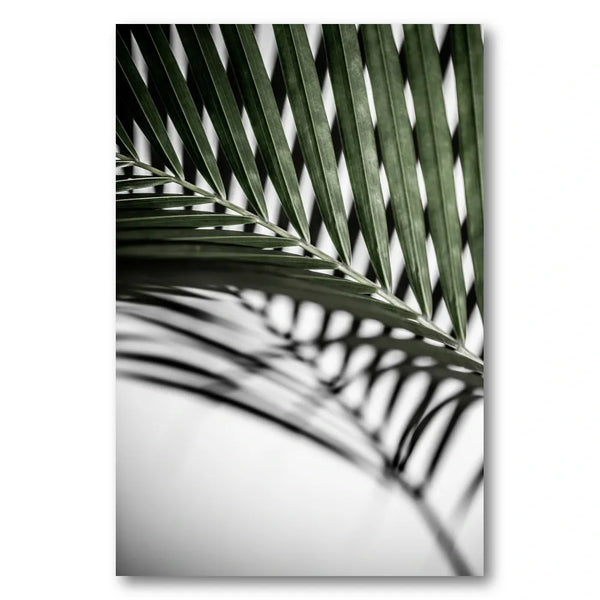 Vibrant Green Palm Leaf Photo Print