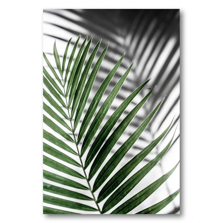 Vibrant Green Palm Leaf Photo Print