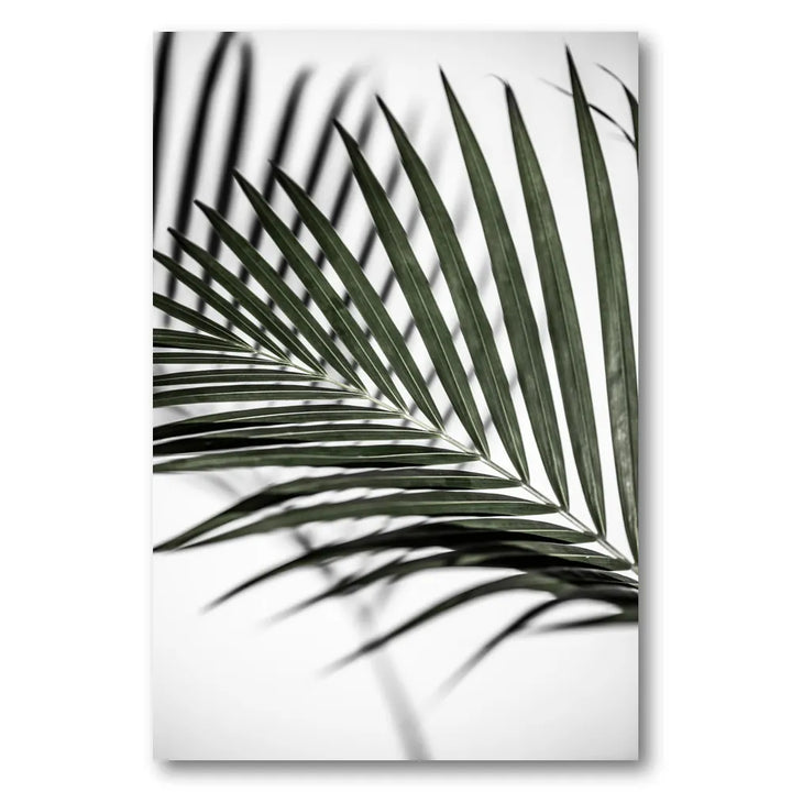 Vibrant Green Palm Leaf Photo Print