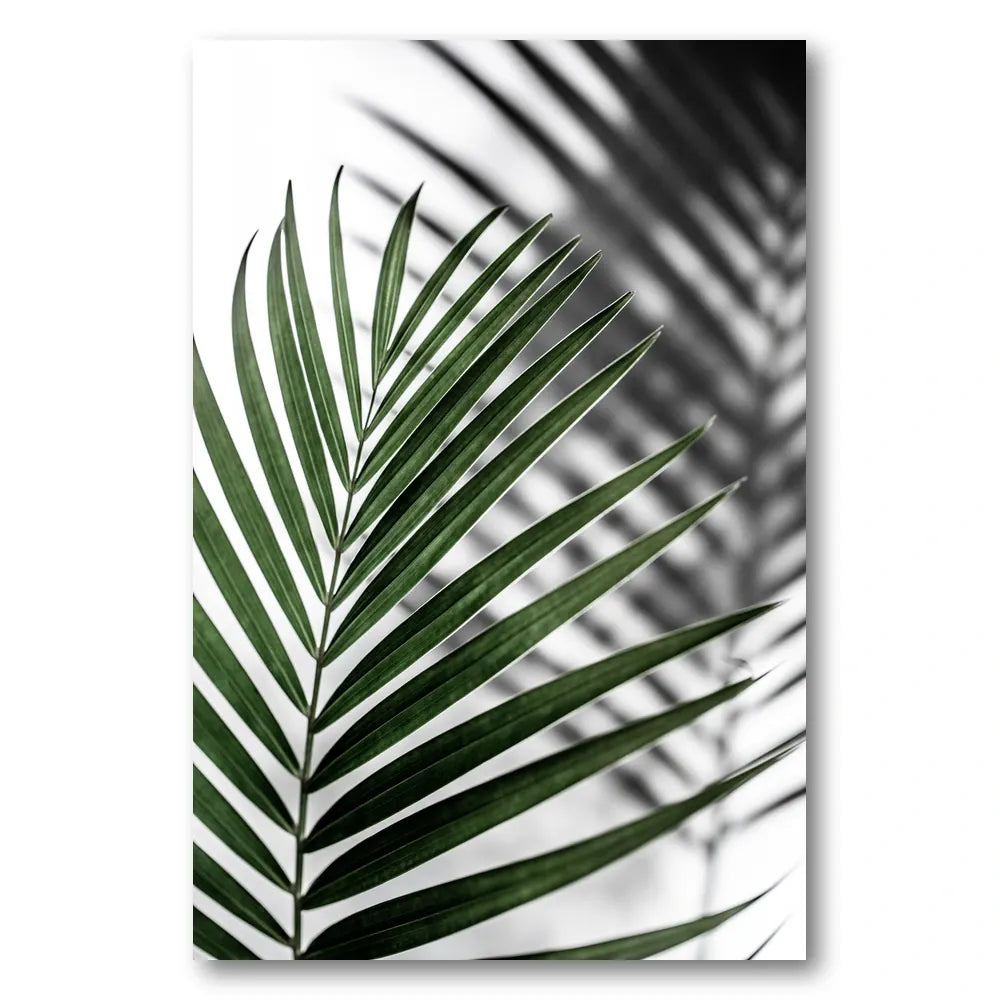 Vibrant Green Palm Leaf Photo Print