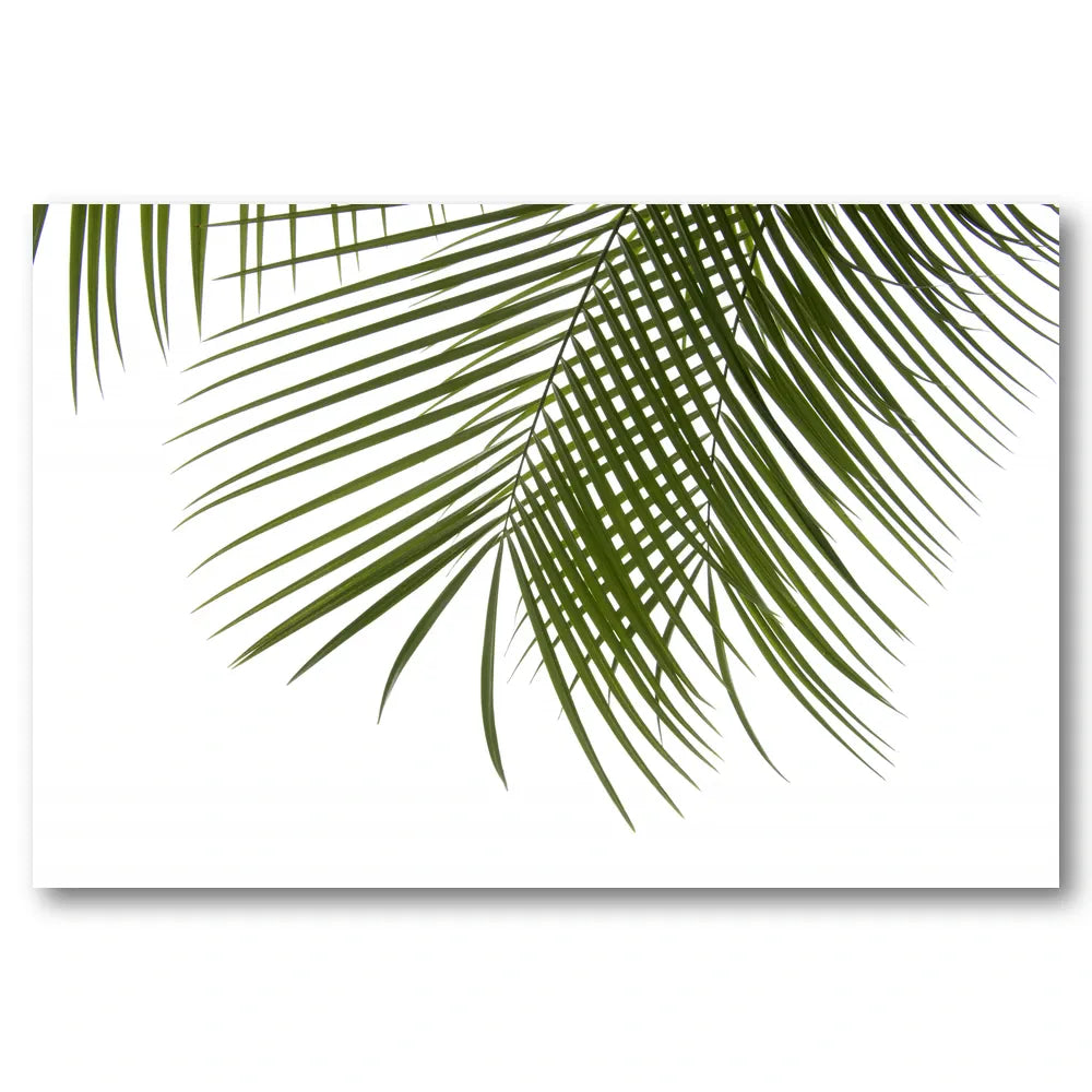 Vibrant Palm Fronds Photo Print