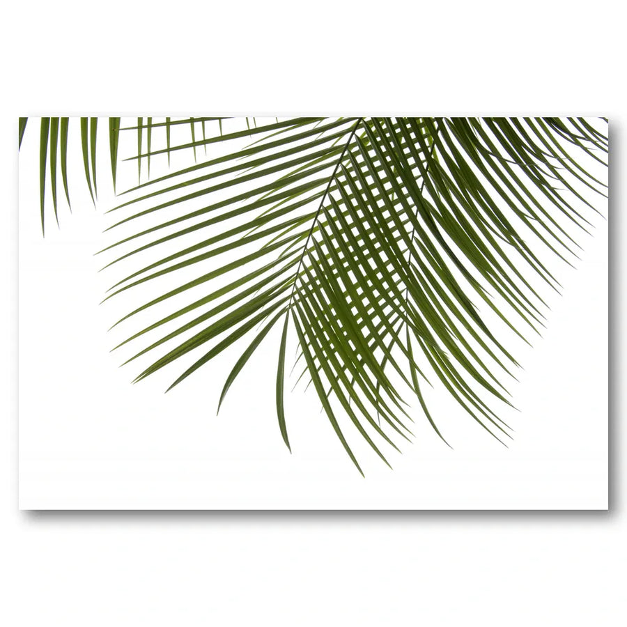 Vibrant Palm Fronds Photo Print