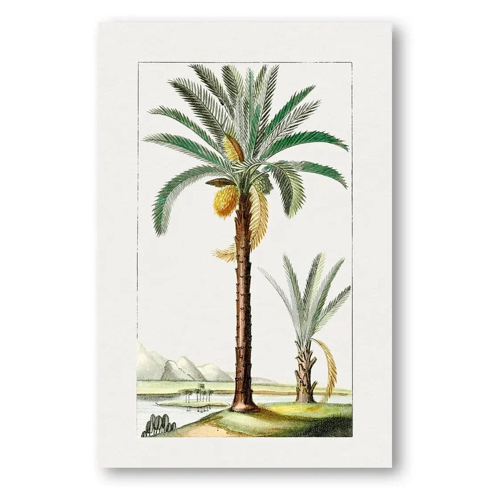 Date Palm Landscapes vintage print, one of the pair