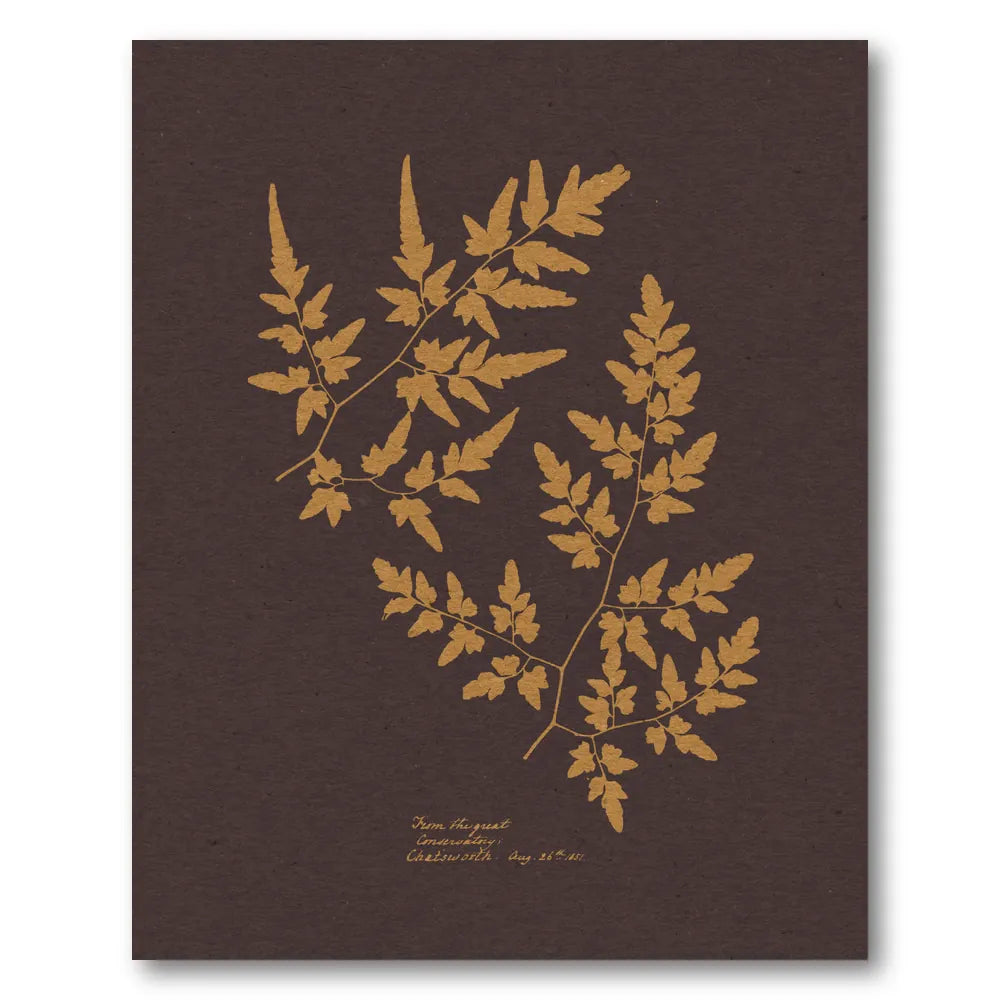 Vintage Golden Fern Fronds Art Print