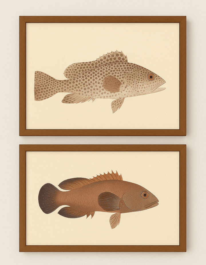 Sepia & Sienna: Spotted Grouper Pair