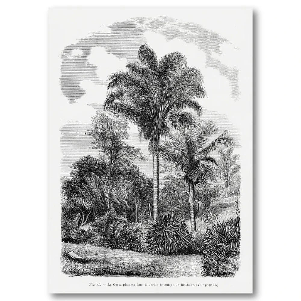 Vintage Palm Landscape vintage print, one of the pair