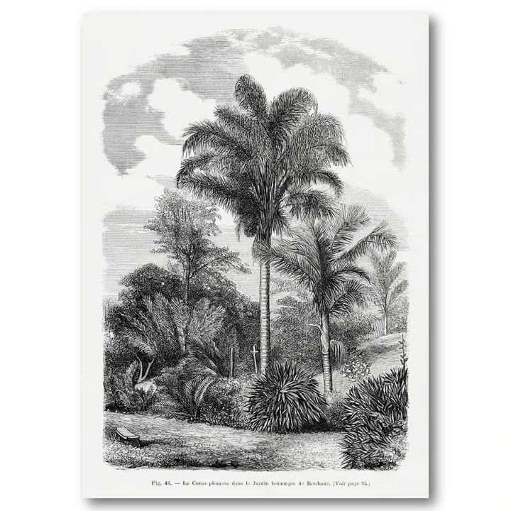 Vintage Palm Landscape vintage print, one of the pair