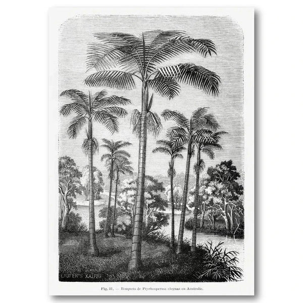 Vintage Palm Trees Art Print