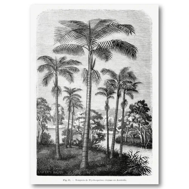 Vintage Palm Trees Art Print