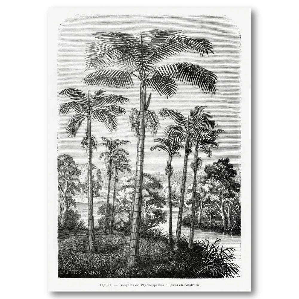 Vintage Palm Trees vintage print, one of the pair