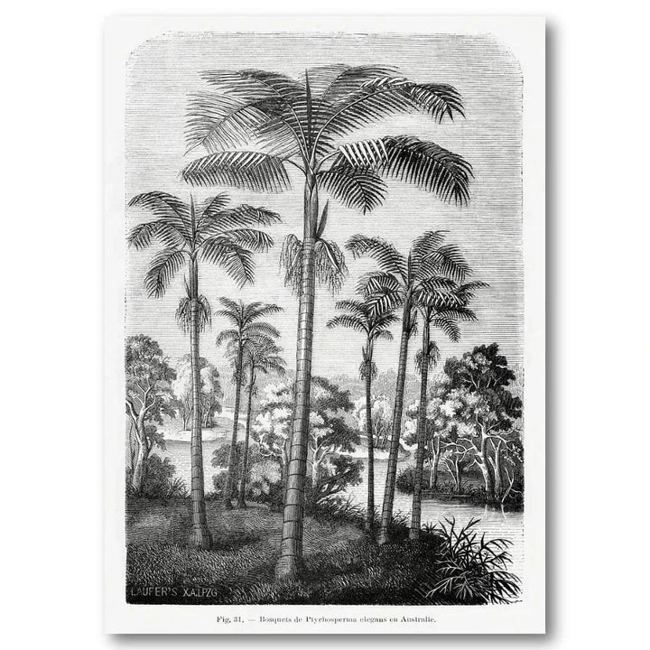 Vintage Palm Trees vintage print, one of the pair