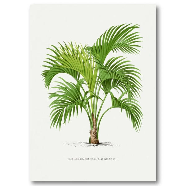 Vintage Palm 17 Art Print