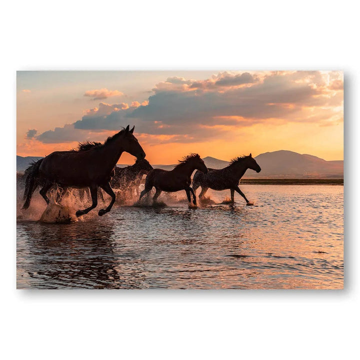 Twilight Splash Mustangs Photo Print