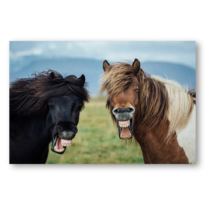 Equine Grin Photo Print