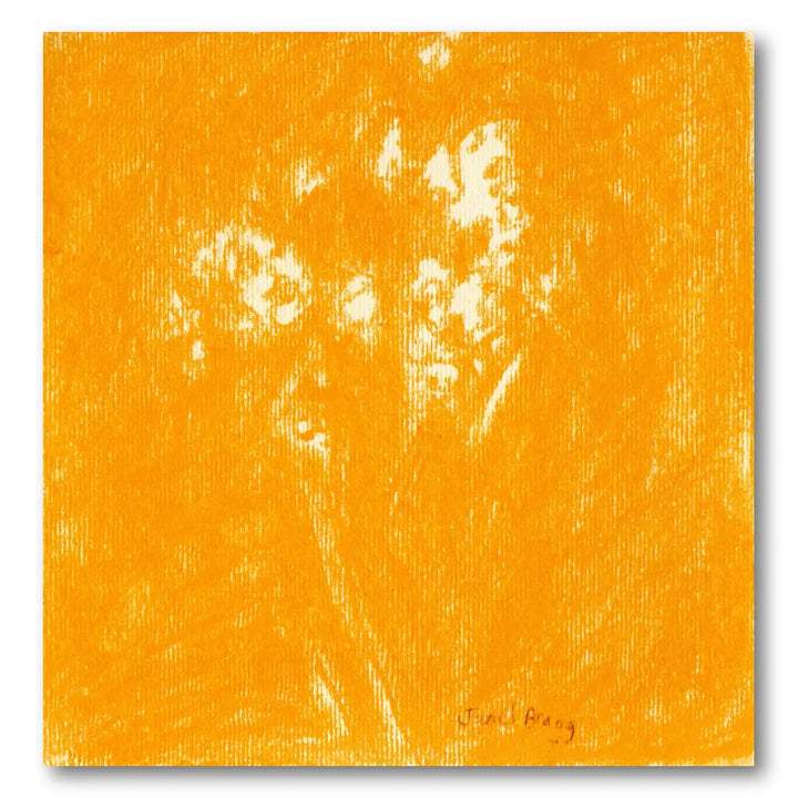 Warm Orange Blossoms