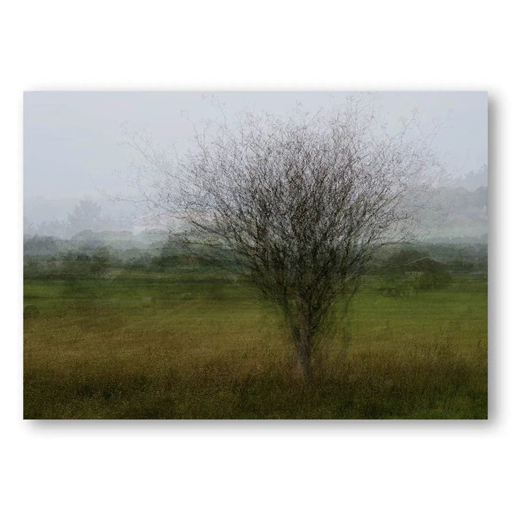 Lone Tree Remains Photo Print