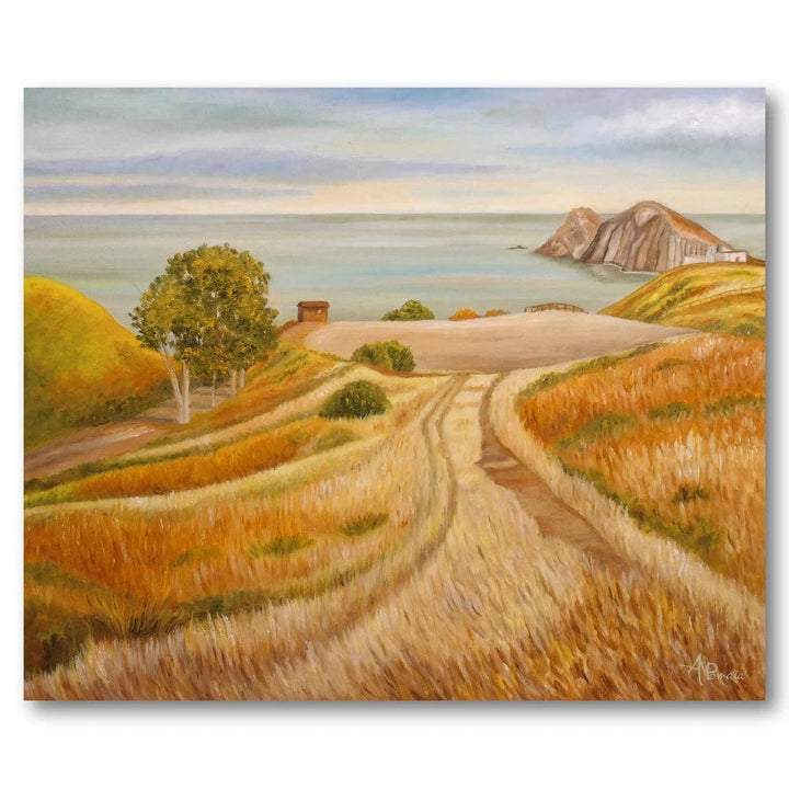 Coastal Pathway Art Print