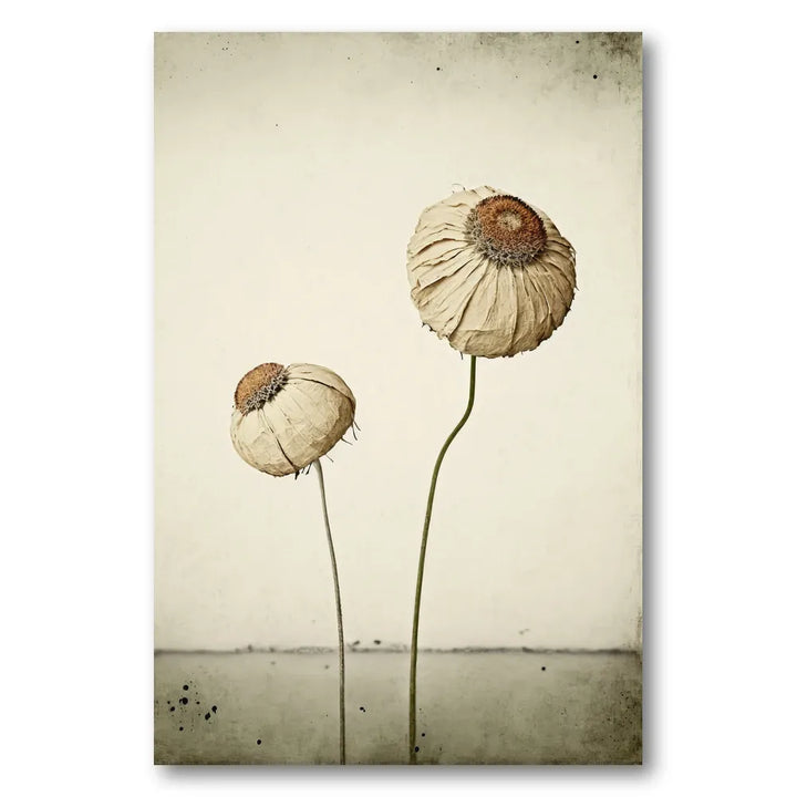 Whispering Blooms Photo Print
