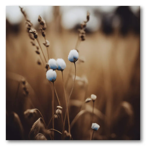 Whispering Blossoms Photo Print