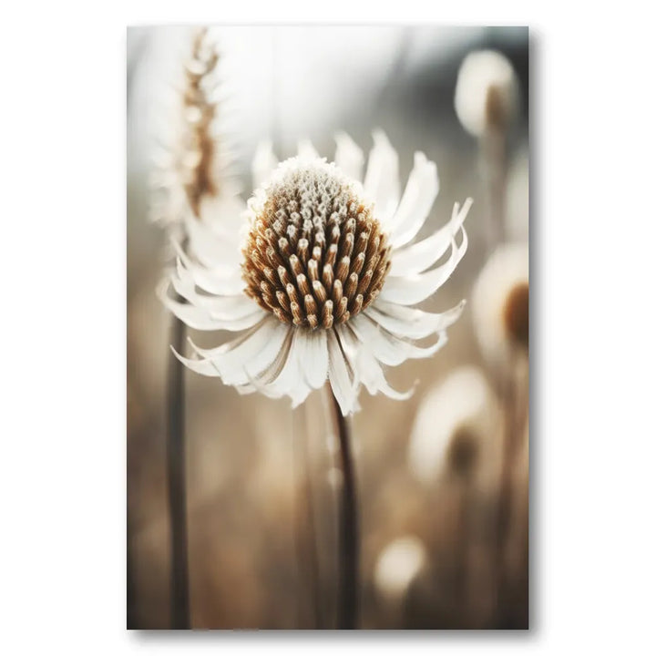 Whispering Petals Photo Print
