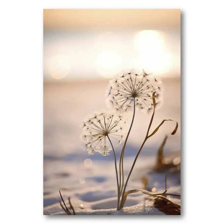 Whispers of Light Photo Print